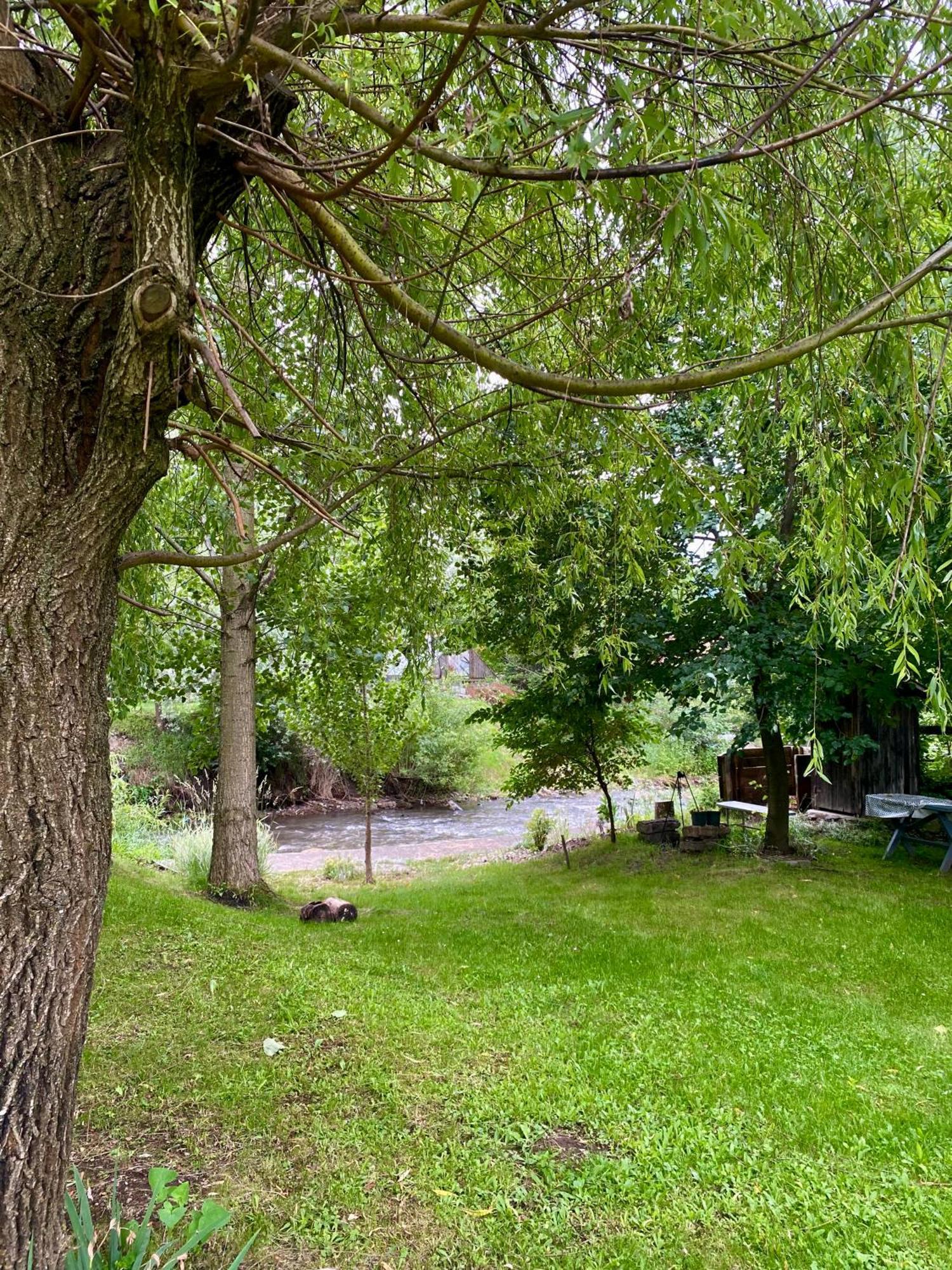 Pensiunea Sovirag Praid Dış mekan fotoğraf