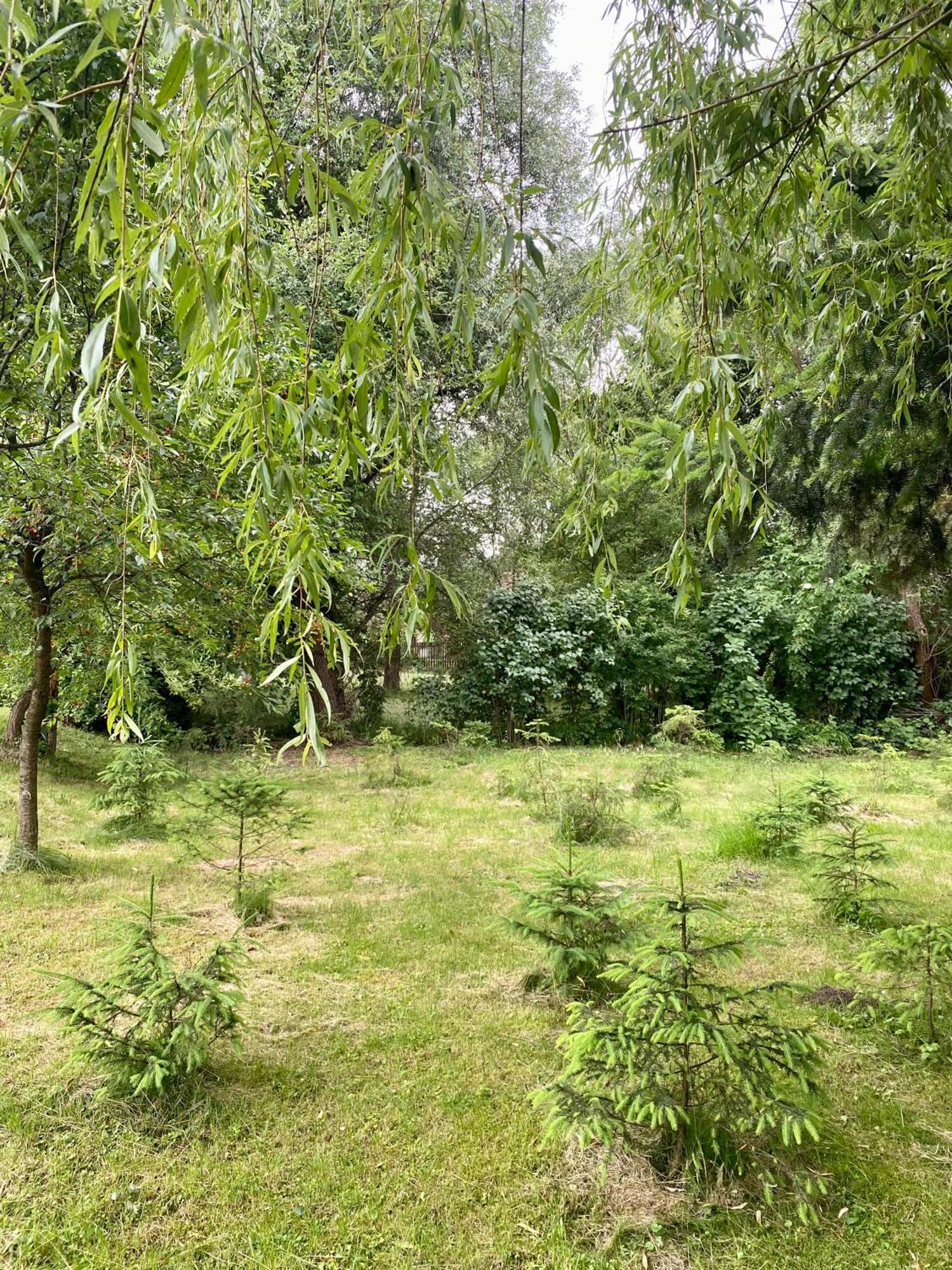 Pensiunea Sovirag Praid Dış mekan fotoğraf